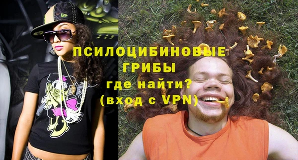 винт Новозыбков